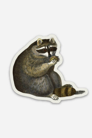 STAY HOME CLUB Unbothered Raccoon Sticker