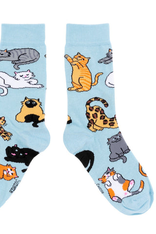 COUCOU SUZETTE Chaussettes Miaou