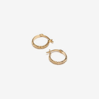 VÉRONIQUE ROY JWLS Determined Earrings - Gold
