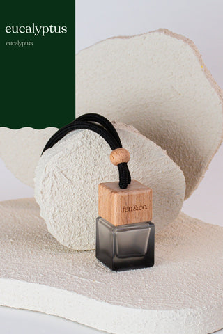 FEU & CO. Diffuseur Voiture - Eucalyptus