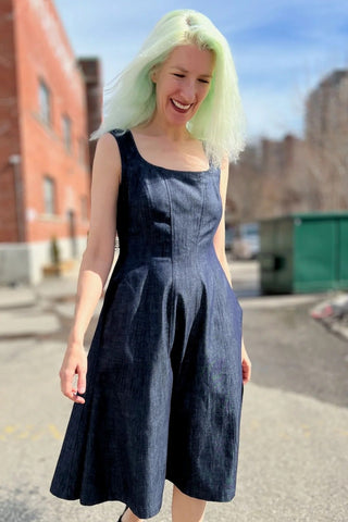 BIRDS OF NORTH AMERICA Honey Buzzard Dress - Dark Wash