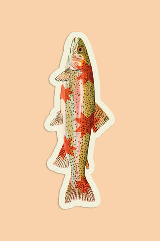 ARTBABY &amp; CO. Starfish Sticker