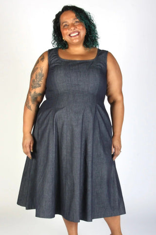 BIRDS OF NORTH AMERICA Honey Buzzard Dress - Dark Wash