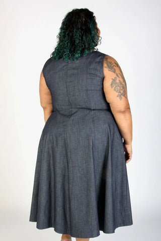 BIRDS OF NORTH AMERICA Honey Buzzard Dress - Dark Wash