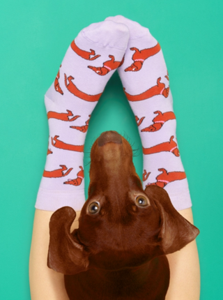 HELLO SUZETTE Socks - Dachshund 